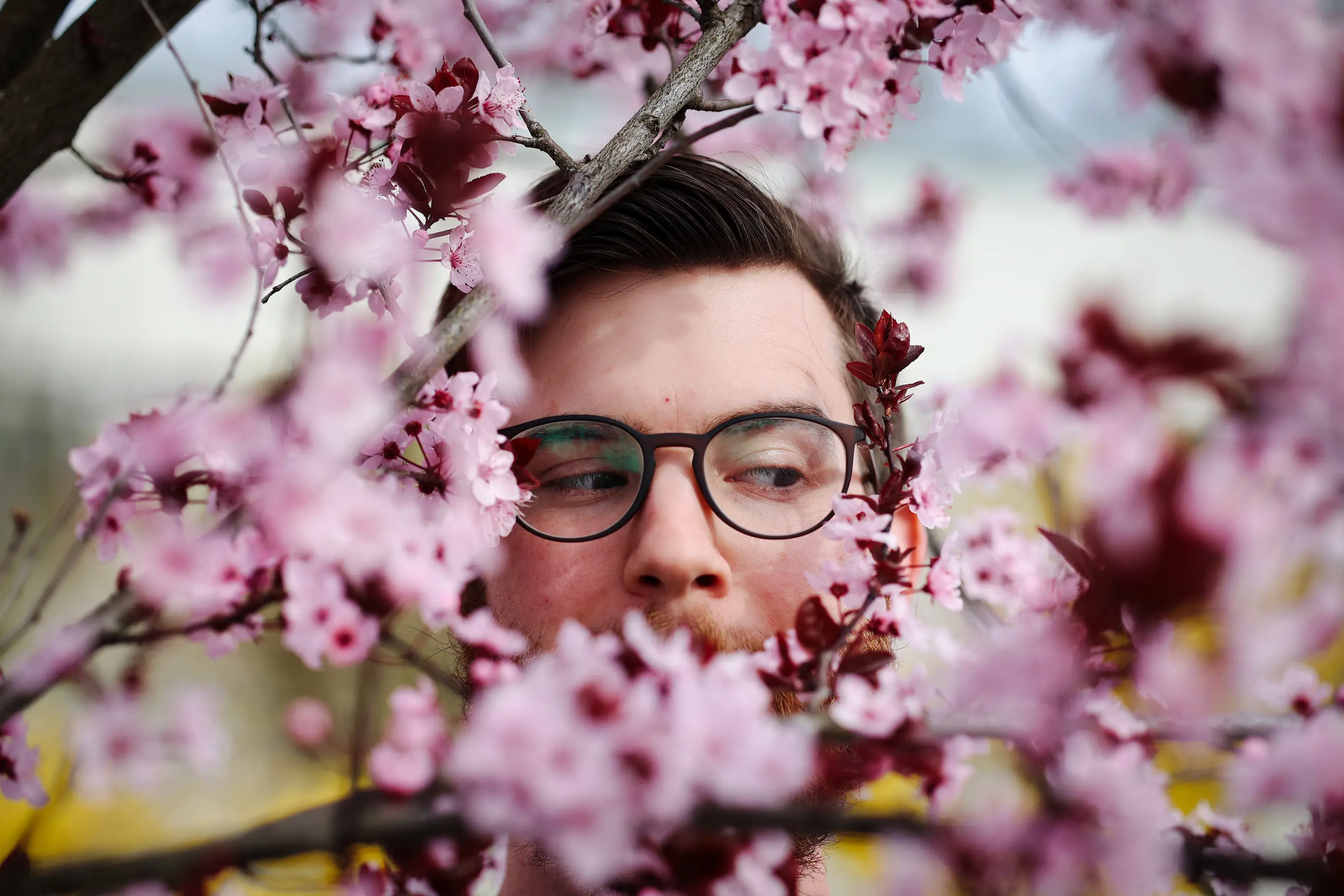 Portrait of Stefano Probst